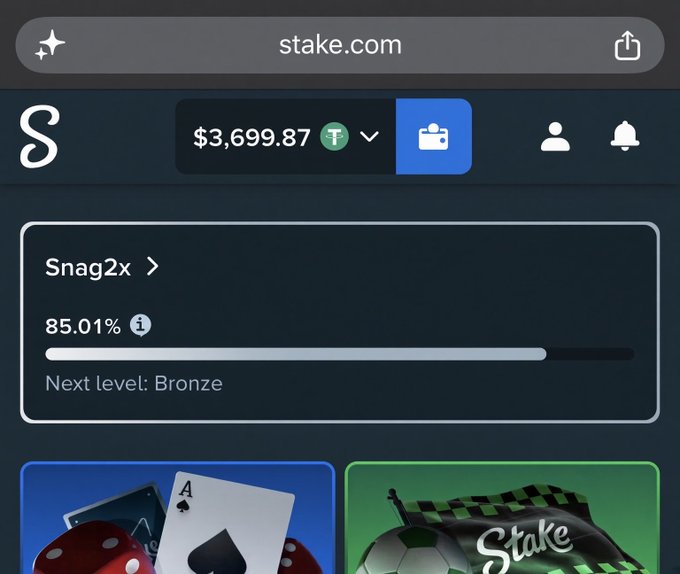 A mobile screenshot of stake.com showing a user account named 'Snag2x' with a balance of $3,699.87 T and an 85.01% progress bar toward the next level 'Bronze'.