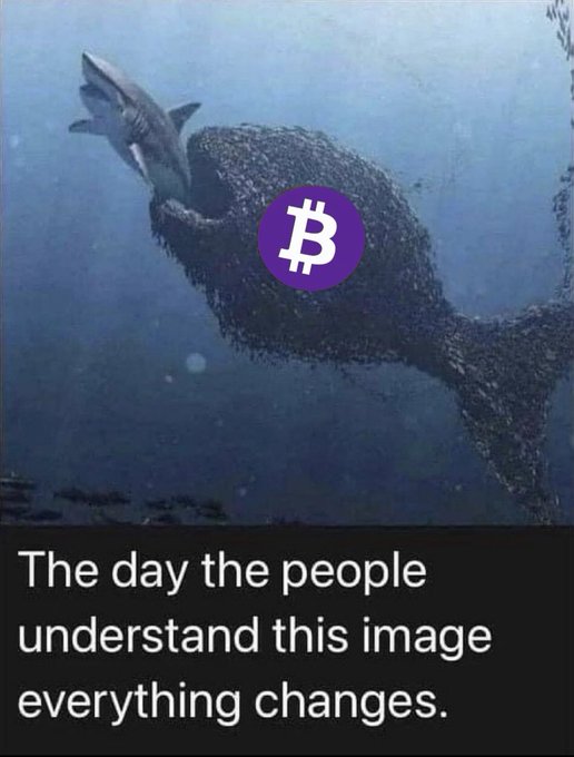 A meme showing a whale eating a shark underwater with a Bitcoin (BTC) logo overlaid on the whale, captioned 'The day the people understand this image everything changes.'