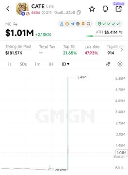 A cryptocurrency tracker screenshot for CATE token shows a market cap of $1.01M (+2.13%), an all-time high of $5.41M, and a 1-day chart with a massive pump to 5.41M before settling at 1.01M.