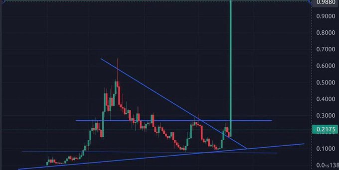 A cryptocurrency candlestick chart showing a memecoin's price action with a sudden vertical spike near $0.9880 after consolidating around $0.2175, framed by descending trendlines forming a breakout pattern—used to illustrate a potential 1000x altcoin candidate.