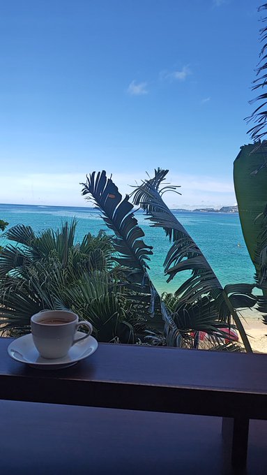 Tropical ocean view from a cafe or bar, featuring a white coffee cup on a wooden railing with palm leaves framing turquoise water and a clear blue sky.