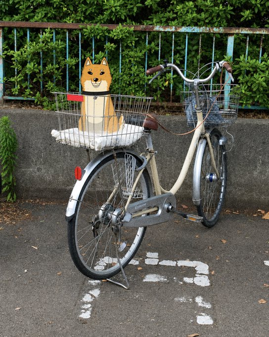A cream-colored bicycle with two wire baskets is parked on a street, with the front basket containing a plush Shiba Inu dog toy sitting on a white cushion. The image playfully answers the caption "Gary, where you at???" by showing Gary the Shiba Inu tucked into the bike basket, seemingly out for a ride.