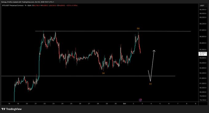 A TradingView 1-hour chart of BTCUSDT Perpetual Contract on Binance shows price action testing resistance near 87,500 (labeled "(a)"), with annotations suggesting a potential dip to support around 82,300 (labeled "(c)") after a swing high, aligning with the post's hope for a long-awaited pullback.
