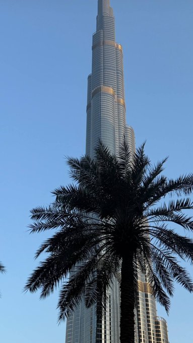 The Burj Khalifa skyscraper towers behind a silhouetted palm tree against a clear blue sky, likely in Dubai.