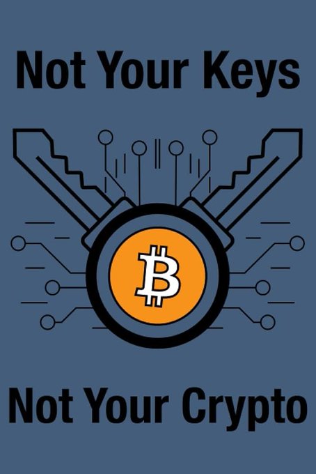 A graphic displaying 'Not Your Keys Not Your Crypto' with a Bitcoin symbol in the center surrounded by circuit-board patterns and crossed keys on a blue background.