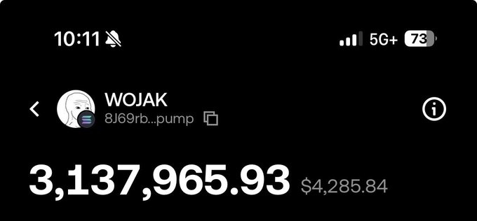 A screenshot of a mobile crypto portfolio app showing a holding of "WOJAK" with token address 8J69rb...pump, displaying a balance of 3,137,965.93 ($4,285.84) at 10:11, with a mute icon and 5G signal and a 73% battery indicator.