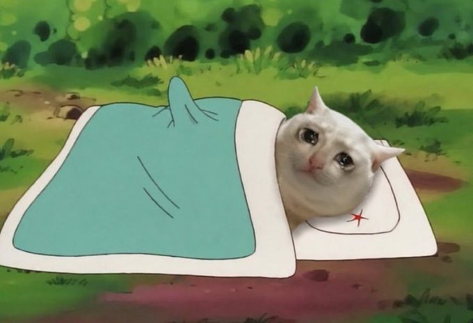 A crying white cat meme (Crying Cat) photoshopped onto Pikachu's sleeping bag from the Pokémon anime, with Pikachu lying in bed in the background.