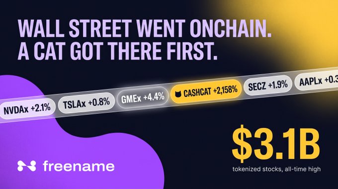 A Freename promotional graphic stating 'WALL STREET WENT ONCHAIN. A CAT GOT THERE FIRST.' showing tokenized stock tickers including NVDax, TSLAx, GMEx, CASHCOAT, SECz, and AAPLx, with '$3.1B tokenized stocks, all-time high'.