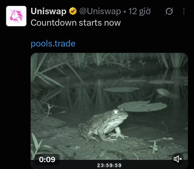 A tweet from Uniswap (@Uniswap) saying 'Countdown starts now' with a link to 'pools.trade' and an image of a frog by a pond.