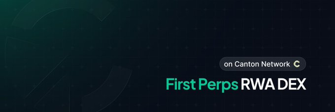 A dark teal banner with subtle circular grid patterns features the text "on Canton Network" alongside the "First Perps RWA DEX" headline, visually reinforcing the post's announcement that Canborsa is building the first perpetual real-world asset DEX. The clean, tech-focused design emphasizes the pioneering nature of tradable markets for tokenized assets onchain.