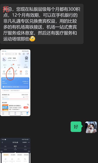 A WeChat conversation screenshot showing a message from "权总" explaining that as a Private Banking tier member, the user receives 300 points monthly for 12 months to redeem VIP perks including airport/high-speed rail transfers, airport first-class VIP lounge service or rest rooms, medical services, and stadium/gym access through the mobile bank's "非凡礼遇" (Extraordinary Privileges) section. The image relates to the post's message about Binance providing quality service to all users, as it similarly demonstrates how financial institutions offer tiered VIP benefits to their regular customers.