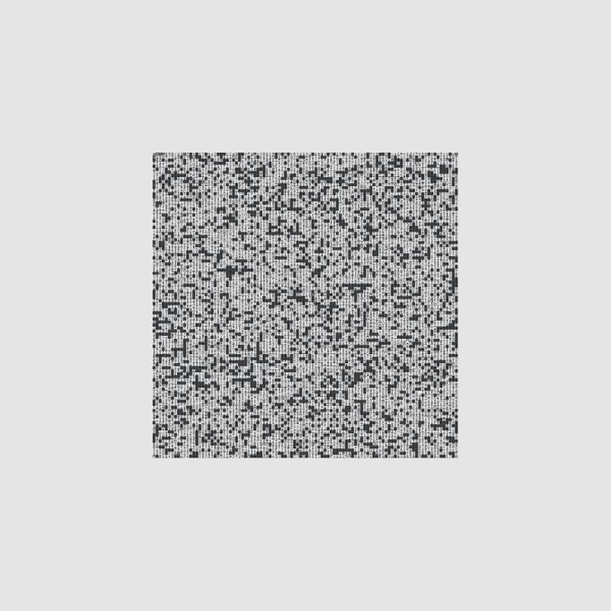 An abstract, high-contrast black and white pattern resembling static noise or pixelated textures within a square frame on a gray background.