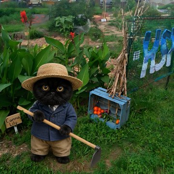 A plush black cat dressed in a straw hat, blue shirt, and khaki shorts stands in a garden holding a hoe, with a small sign reading "Tomato Pie" and a crate of orange tomatoes nearby. The scene humorously illustrates the user's post about "larp"-ing as a yield farmer, depicting the cat literally farming tomatoes in a rustic, old-fashioned way—mimicking the hands-on, harvest-themed vibe of early DeFi "yield farming."