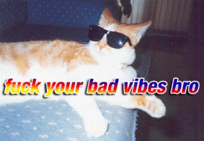 A low-quality photo of an orange and white cat wearing black sunglasses, overlaid with the text 'fuck your bad vibes bro' in a colorful gradient font.
