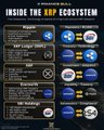 An infographic titled "INSIDE THE XRP ECOSYSTEM" displays a network diagram linking institutions like JPMorgan, Goldman Sachs, Morgan Stanley, and BNY Mellon to various XRP-related technologies and projects, visually supporting the post's claim that these major banks stand to benefit from the CLARITY Act and blockchain integration with XRP.
