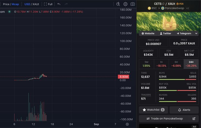 A cryptocurrency chart shows CETS/XAUT on PancakeSwap trading at $0.008907 with an 8.90M market cap and massive 38.29% 24-hour decline, illustrating the importance of zooming out to gain perspective on volatile crypto price movements.