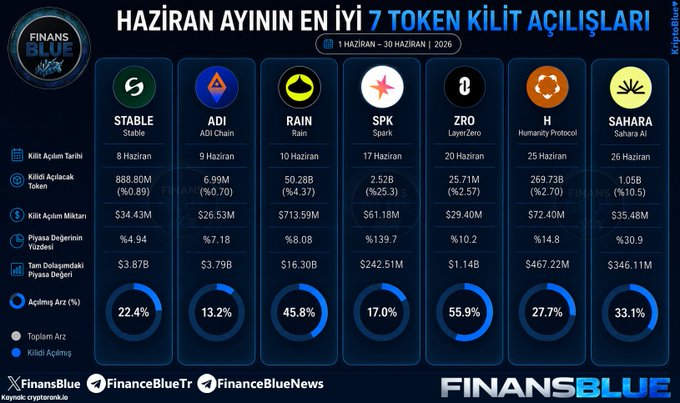 A chart or infographic displaying different cryptocurrencies such as Bitcoin, Ethereum, Litecoin, and others along with their respective market values.