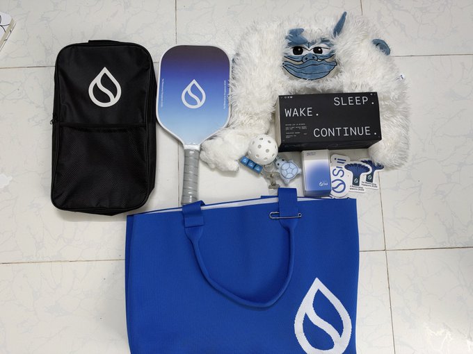 An overhead shot of pickleball gear laid out on a tile floor, including a blue tote bag with a water drop logo, a paddle, a furry monster plush, a 'WAKE. SLEEP. CONTINUE.' sign, and various accessories.