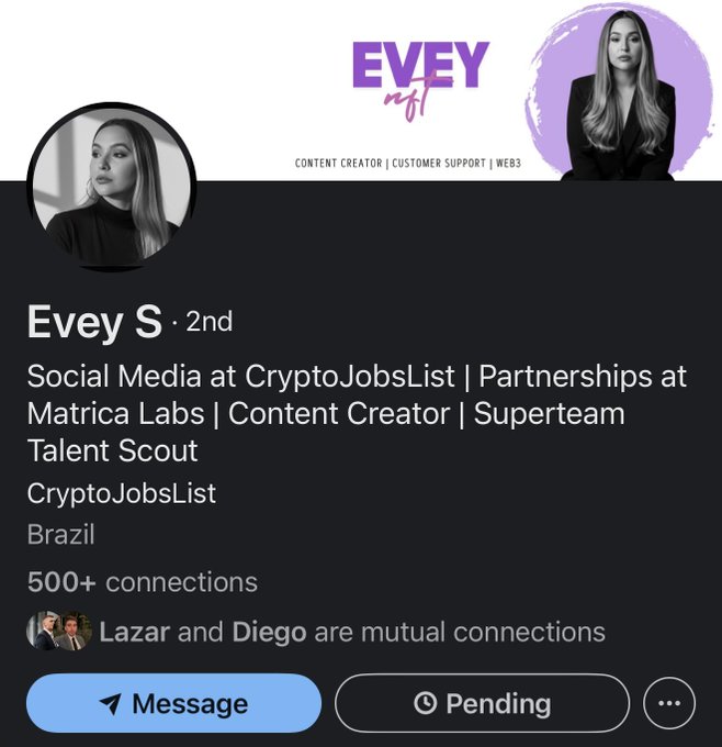 A LinkedIn profile screenshot of Evey S from Brazil, listed as 2nd connection, working in Social Media at CryptoJobsList and Partnerships at Matrica Labs as a Content Creator.