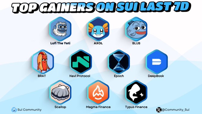 A graphic titled 'TOP GAINERS ON SUI LAST 7D' displays nine hexagonal logos for meme coins and DeFi projects, including Lofi The Yeti, AXOL, BLUB, BRAT, Navi Protocol, Epoch, DeepBook, Scallop, Magma Finance, and Typus Finance.
