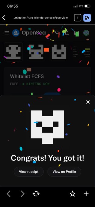 A screenshot of an OpenSea NFT minting confirmation screen showing a pixelated skull character with the message 'Congrats! You got it!' and options to 'View receipt' or 'View on Profile'.