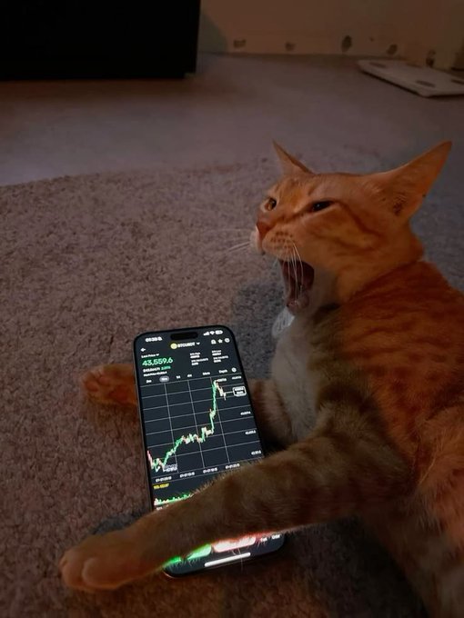 An orange tabby cat lies on a carpet with its mouth open wide in what appears to be a yawn or hiss, while resting its paw over a smartphone displaying a green stock/crypto trading chart.