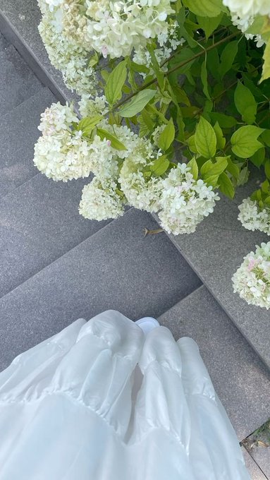 A white dress or veil cascades across stone steps beside lush white hydrangea blooms and green foliage. The serene, private moment contrasts with the post's message about privacy being foundational rather than an afterthought, reinforcing Beldex's philosophy that true privacy—like the intimate scene captured—should be woven into the very fabric of our digital lives.
