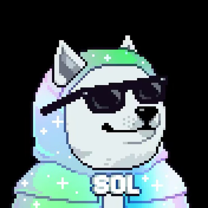 A pixel art dog character wearing sunglasses and a colorful hoodie with 'SOL' text on the chest, set against a black background.