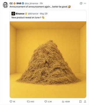 The image features a large pile of hay, possibly straw or haystacks, sitting inside a yellow room with a yellow wall. The hay appears to be dry and well-organized, creating an interesting visual contrast against the bright yellow background. The photo is posted on social media by someone named CZ, who has tagged another person in the image. The post includes text that reads "Binance đâng thông báo về việc sẽ ra mắt sản phẩm mới nhưng là FOMO nhất thời, dù có là news gì ( ngoại trừ như Launchpad )".