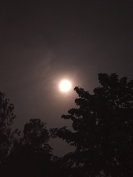 The image features a beautiful night sky with a bright full moon shining brightly against the dark backdrop of clouds. The moon's glow illuminates the scene, casting shadows and highlighting the silhouettes of trees below. The trees are located on either side of the frame, creating a sense of balance in the composition. The post includes a link to a website called "XOOBNetwork Super bullish" that seems to be related to the image or possibly discussing the moon's brightness.