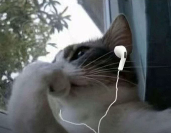 A close-up of a gray cat wearing a single white earbud, appearing to be a humorous take on someone wasting time on unproductive activities when simply "buying Bitcoin" would have been the easier, wiser choice.