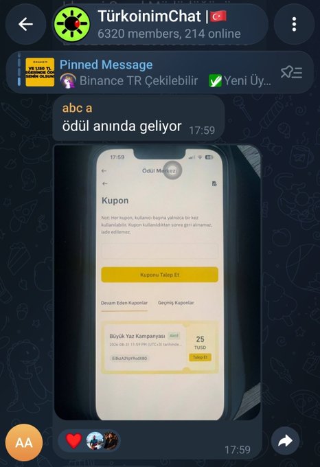 A Telegram chat screenshot titled 'TürkoinimChat' shows a pinned message about 'Binance TR Çekilebilir' and a mobile coupon for 'Büyük Yaz Kampanyası' worth 25 TUSD.