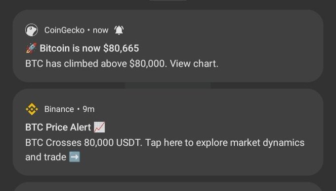 Notification alerts showing 'Bitcoin is now $80,665' from CoinGecko and a 'BTC Price Alert' from Binance for BTC crossing 80,000 USDT.