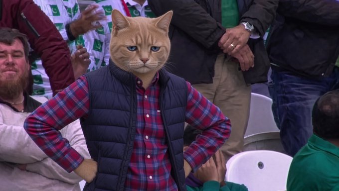 An edited image shows a person wearing a vest and flannel shirt with a large, unimpressed cat head superimposed over their face, standing in a stadium crowd.