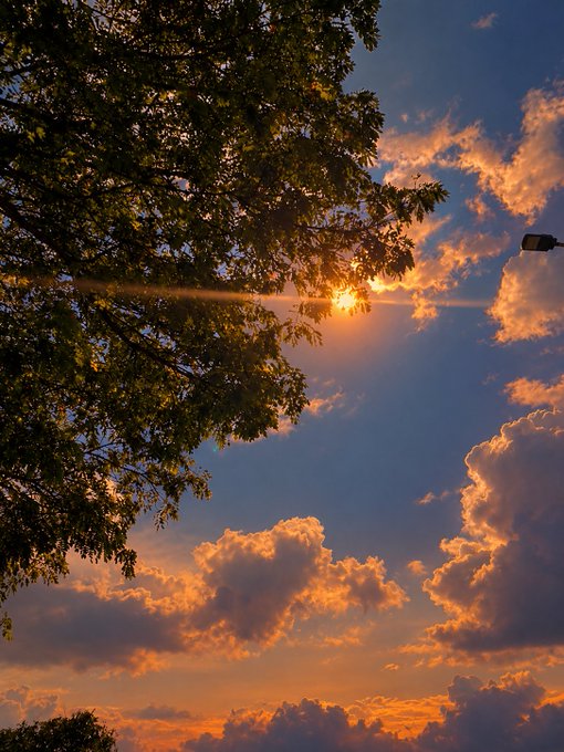 A scenic photograph captures golden sunlight breaking through orange-tinged clouds, framed by the dark silhouette of tree branches.