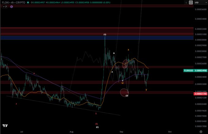 TradingView chart showing FLOKI/USDT on the 4-hour timeframe with Elliott Wave labels (W, X, Y, (1), (2), (3), (4)) and an Argus Crypto promotion overlay.