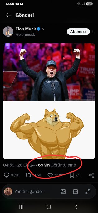 A screenshot of Elon Musk's X post showing a muscular Doge flexing, which has garnered 69 million views and over 537,000 likes, tying into the "$SWOGE" meme by matching the "69" view count with the "69" ticker symbol.