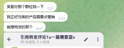 Screenshot of a chat in Chinese discussing a 'group boosting' service, with messages referencing '蓝V' (Blue V verification) and noting 55 members with 5 online.