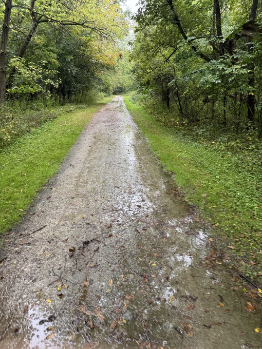 A photograph of a wet, muddy dirt path winding through a lush green forest. Puddles of water reflect the overcast sky on the path's surface, bordered by grass and leafy trees.