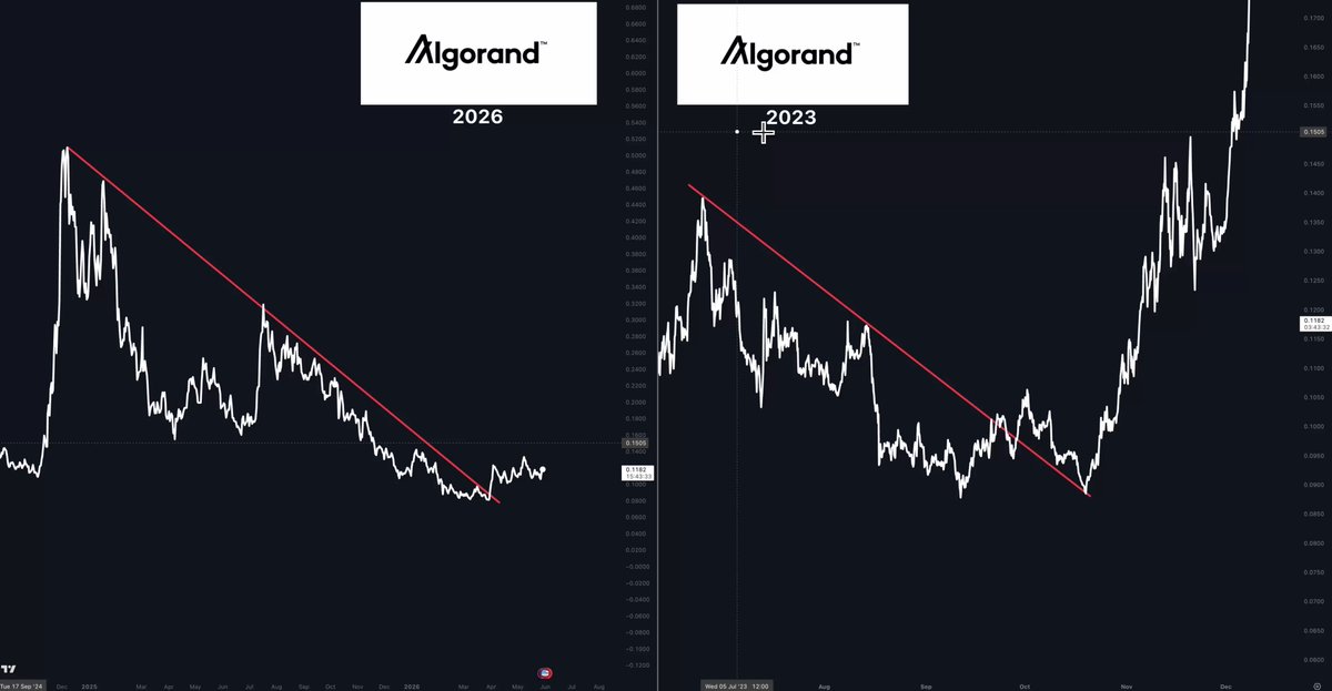 "In 2023, Algo took off like a rocket (from its 200% gain) and landed back at $ALGO going parabola after being tight for some time."