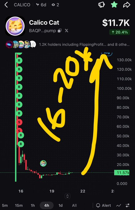 A mobile trading app screenshot showing 'Calico Cat' token at $11.7K with a 20.4% increase, featuring a hand-drawn yellow '20X' annotation and arrow pointing upward on the price chart.