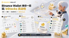 The image shows an advertisement for Binance Wallet, featuring a character interacting with a phone displaying bStocks flowcharts for BNB ecosystem tokens like LOV, BNB, MUBI, TWT, and LIT. The ad headline reads "Binance Wallet 教你一招玩 bStocks 流动性," relating to the post about a user's positive experience giving feedback to Binance Wallet team members like Chelsie and Anco.