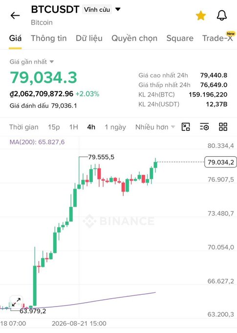 A Binance cryptocurrency chart shows the BTCUSDT pair trading at 79,034.3 USDT with a 24-hour gain of +2.03% and a high of 79,555.5.
