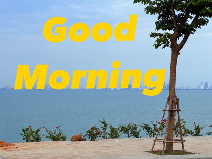 A scenic ocean view with a small tree in the foreground and a city skyline across the water, overlaid with large yellow text reading 'Good Morning'.
