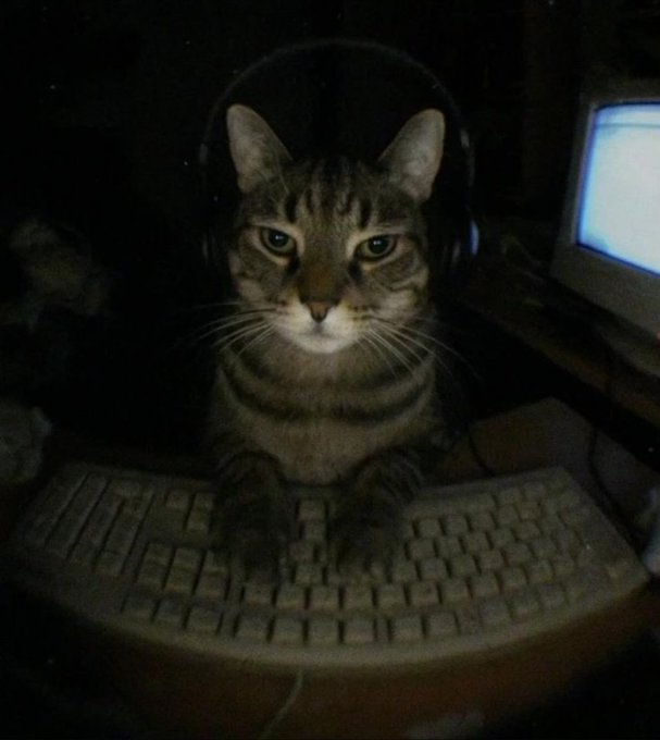 A tabby cat wearing headphones sits at a computer keyboard in front of a monitor, staring directly at the camera.