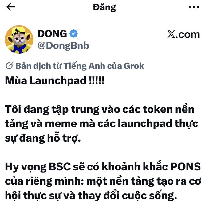 A screenshot of a post by 'DONG @DongBnb' translated by Grok, titled 'Mùa Launchpad!!!!!' with Vietnamese text discussing tokens, memes, and BSC's PONS platform.