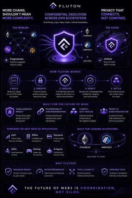 An infographic for 'FLUTON' titled 'MORE CHAINS. SHOULDN'T MEAN MORE COMPLEXITY' and 'CONFIDENTIAL EXECUTION ACROSS EVM ECOSYSTEMS', explaining the project's vision, how it works, and its compatibility with Ethereum and Arbitrum.