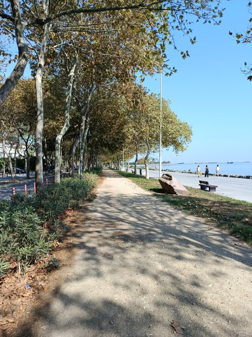 The image shows a tree-lined path with people walking along it, enjoying the outdoors. The scene also includes a bench located near the end of the path where individuals can rest or take a break from their walk. The overall atmosphere appears to be peaceful and relaxing as people engage in leisurely activities on this pleasant day.