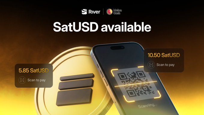 The image features a smartphone displaying a QR code that reads "SatUSD available" along with two coins - a gold coin and a silver coin. The text above the QR code indicates that these coins can be used for payment through a scanning app, which is likely related to the cryptocurrency market. This suggests that users can now use their satUSD coins as a form of payment in various transactions or purchases.