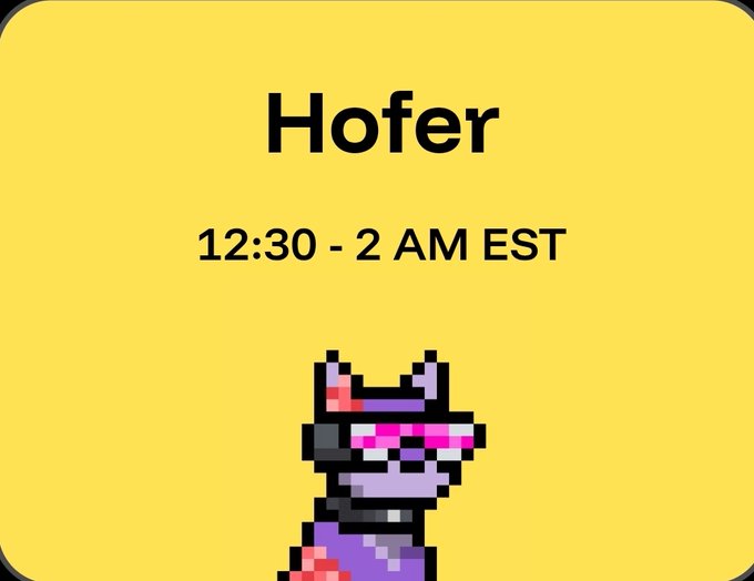 A yellow graphic displays "Hofer" with the time "12:30 - 2 AM EST" above a pixelated purple cat character wearing pink sunglasses. The image promotes Hofer as a cohost for a CSN Space from 12:30-2 AM Eastern, aligning with the post's announcement about a daily crypto spaces event.